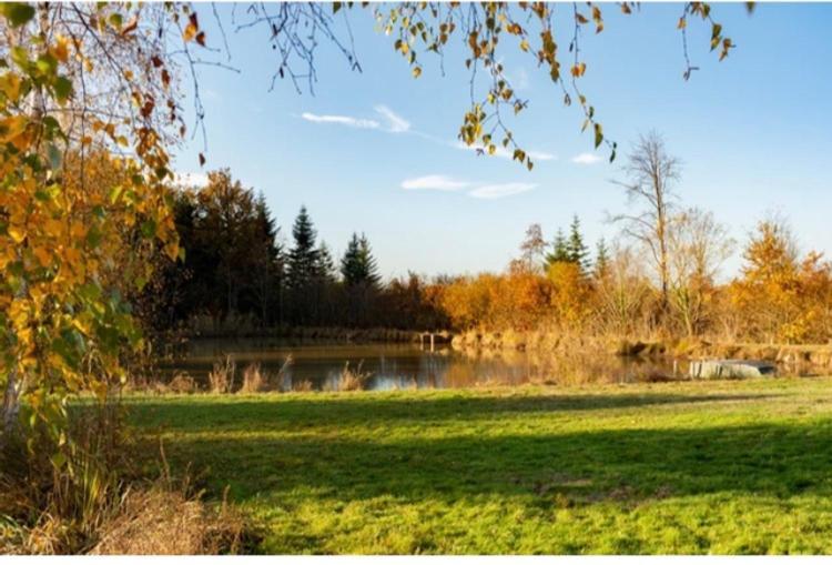 Les Chatelliers Bouzy-la-Foret Exteriér fotografie