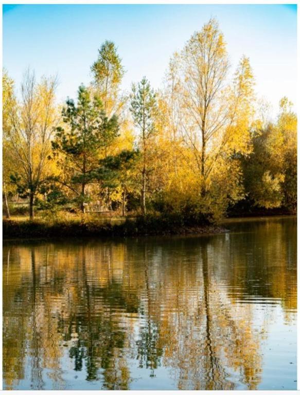 Les Chatelliers Bouzy-la-Foret Exteriér fotografie
